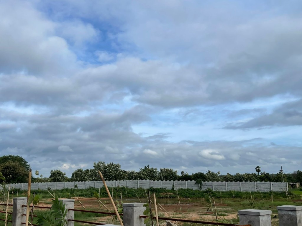 Perimeter wall and avenue plantation